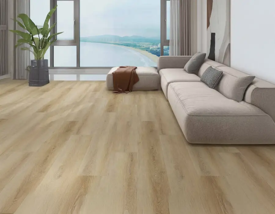 Palmetto XL in Seabrook